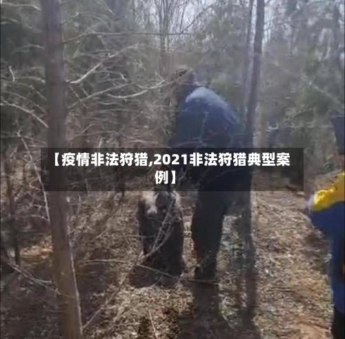 【疫情非法狩猎,2021非法狩猎典型案例】-第1张图片