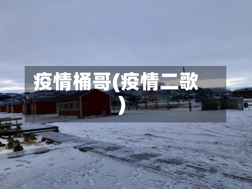 疫情桶哥(疫情二歌)-第1张图片