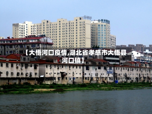 【大悟河口疫情,湖北省孝感市大悟县河口镇】-第2张图片