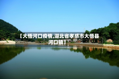 【大悟河口疫情,湖北省孝感市大悟县河口镇】-第3张图片