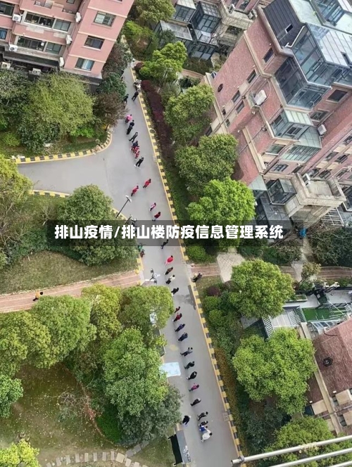 排山疫情/排山楼防疫信息管理系统-第3张图片