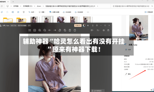 辅助神器“哈灵怎么看出有没有开挂”原来有神器下载！-第1张图片