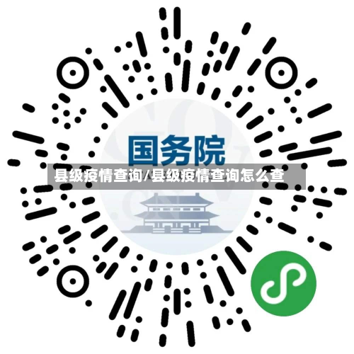 县级疫情查询/县级疫情查询怎么查-第1张图片