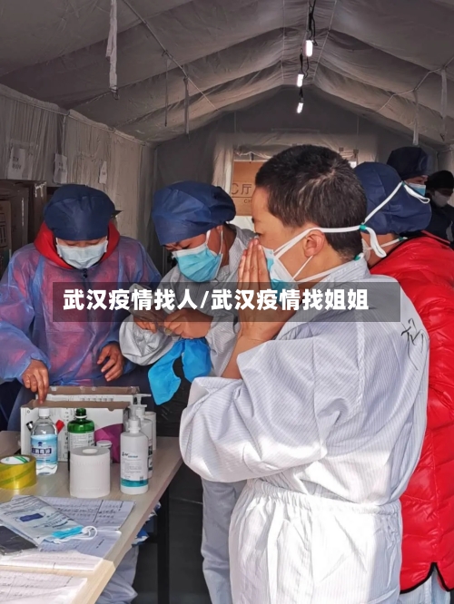 武汉疫情找人/武汉疫情找姐姐-第2张图片