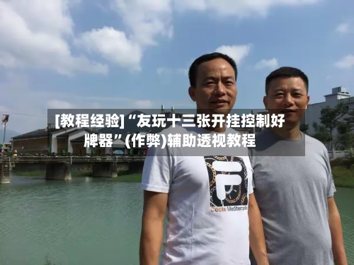 [教程经验]“友玩十三张开挂控制好牌器”(作弊)辅助透视教程-第1张图片