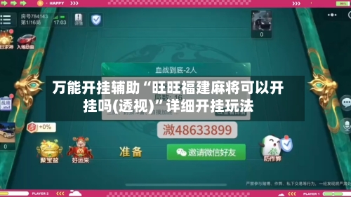 万能开挂辅助“旺旺福建麻将可以开挂吗(透视)	”详细开挂玩法-第2张图片