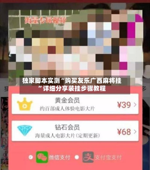 独家脚本实测“购买友乐广西麻将挂	”详细分享装挂步骤教程-第1张图片