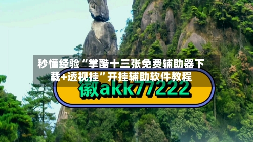 秒懂经验“掌酷十三张免费辅助器下载+透视挂	”开挂辅助软件教程-第1张图片
