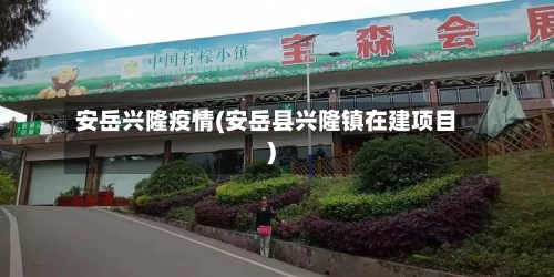 安岳兴隆疫情(安岳县兴隆镇在建项目)-第1张图片