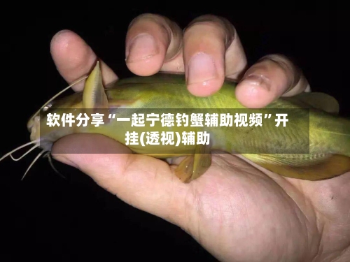 软件分享“一起宁德钓蟹辅助视频”开挂(透视)辅助-第3张图片