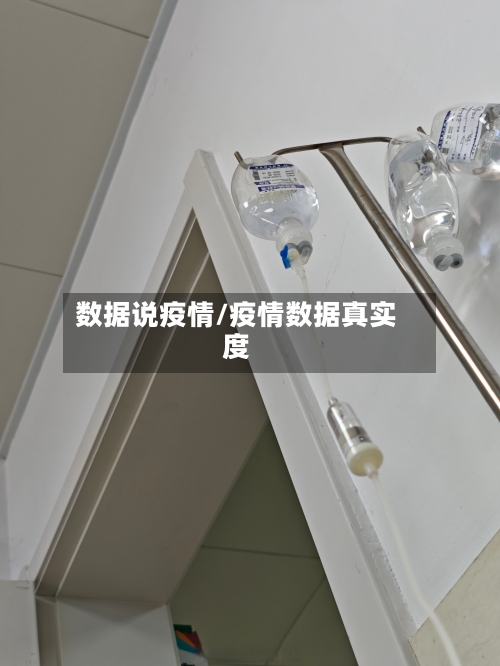 数据说疫情/疫情数据真实度-第1张图片
