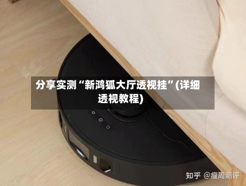 分享实测“新鸿狐大厅透视挂	”(详细透视教程)-第2张图片