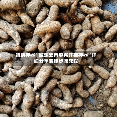 辅助神器“微乐云南麻将开挂神器”详细分享装挂步骤教程-第1张图片