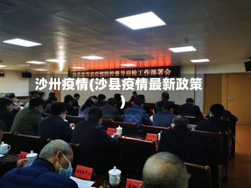 沙卅疫情(沙县疫情最新政策)-第1张图片