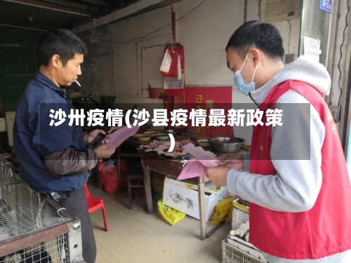 沙卅疫情(沙县疫情最新政策)-第2张图片