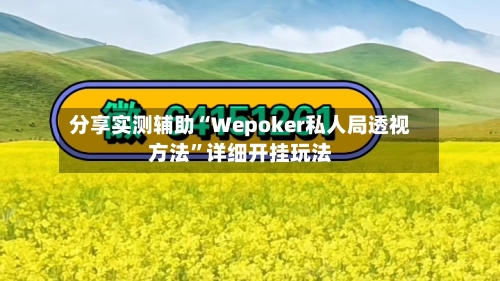分享实测辅助“Wepoker私人局透视方法	”详细开挂玩法-第1张图片