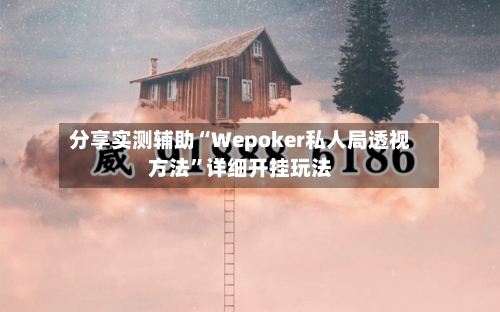 分享实测辅助“Wepoker私人局透视方法”详细开挂玩法-第3张图片