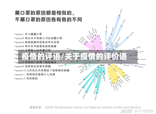 疫情的评语/关于疫情的评价语-第1张图片
