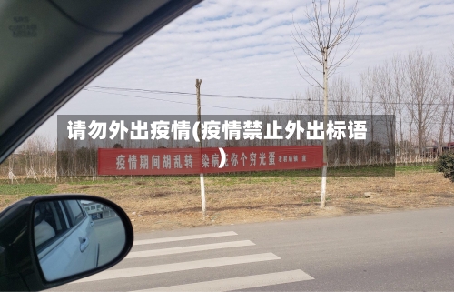 请勿外出疫情(疫情禁止外出标语)-第1张图片