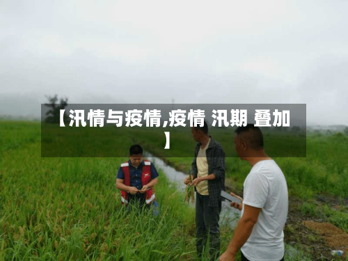 【汛情与疫情,疫情 汛期 叠加】-第1张图片