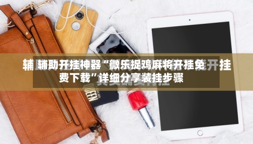 辅助开挂神器“微乐捉鸡麻将开挂免费下载”详细分享装挂步骤-第3张图片