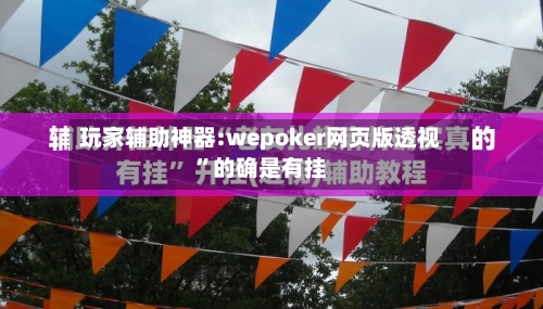 玩家辅助神器:wepoker网页版透视	”的确是有挂-第2张图片