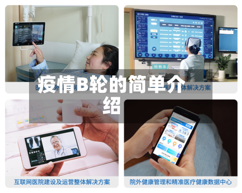 疫情B轮的简单介绍-第1张图片