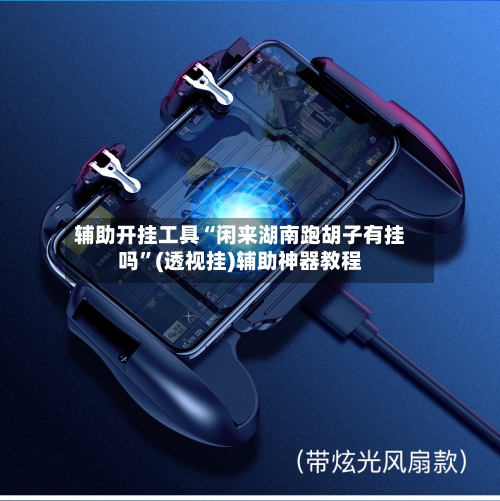辅助开挂工具“闲来湖南跑胡子有挂吗”(透视挂)辅助神器教程-第1张图片