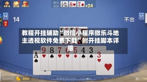 教程开挂辅助“微信小程序微乐斗地主透视软件免费下载	”附开挂脚本详细-第1张图片