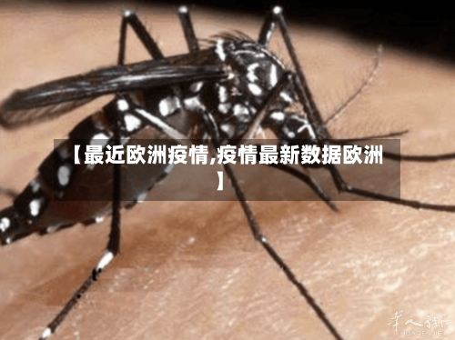 【最近欧洲疫情,疫情最新数据欧洲】-第1张图片