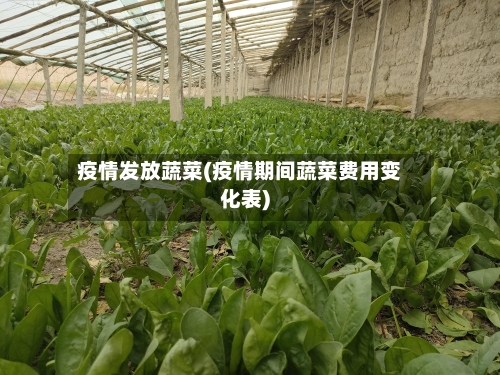 疫情发放蔬菜(疫情期间蔬菜费用变化表)-第1张图片
