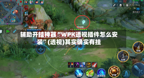 辅助开挂神器“WPK透视插件怎么安装”(透视)其实确实有挂-第1张图片