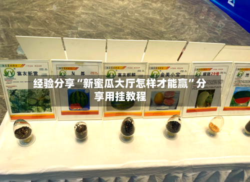 经验分享“新蜜瓜大厅怎样才能赢”分享用挂教程-第3张图片