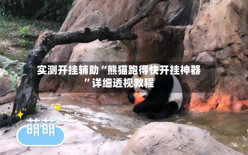 实测开挂辅助“熊猫跑得快开挂神器”详细透视教程-第1张图片