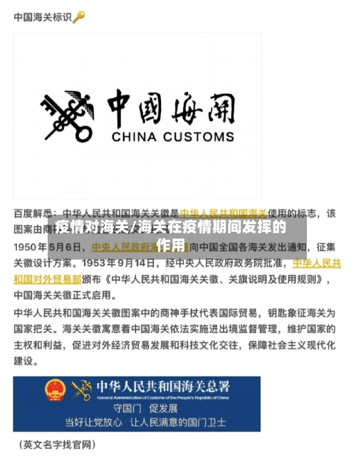 疫情对海关/海关在疫情期间发挥的作用-第1张图片