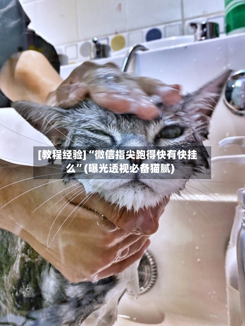 [教程经验]“微信指尖跑得快有快挂么”(曝光透视必备猫腻)-第1张图片