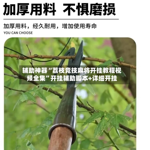 辅助神器“荔枝竞技麻将开挂教程视频全集	”开挂辅助脚本+详细开挂-第3张图片