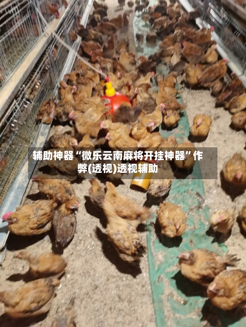 辅助神器“微乐云南麻将开挂神器	”作弊(透视)透视辅助-第2张图片