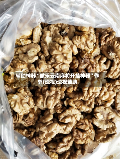 辅助神器“微乐云南麻将开挂神器”作弊(透视)透视辅助-第1张图片