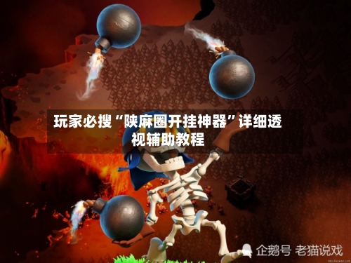 玩家必搜“陕麻圈开挂神器”详细透视辅助教程-第2张图片