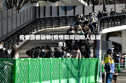 疫情游客动物(疫情期间动物入侵城市)-第1张图片