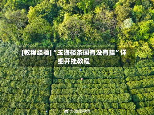 [教程经验]“玉海楼茶园有没有挂”详细开挂教程-第1张图片