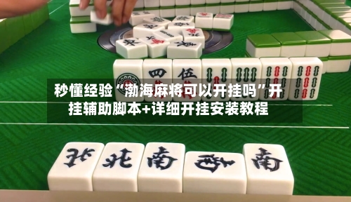 秒懂经验“渤海麻将可以开挂吗	”开挂辅助脚本+详细开挂安装教程-第1张图片