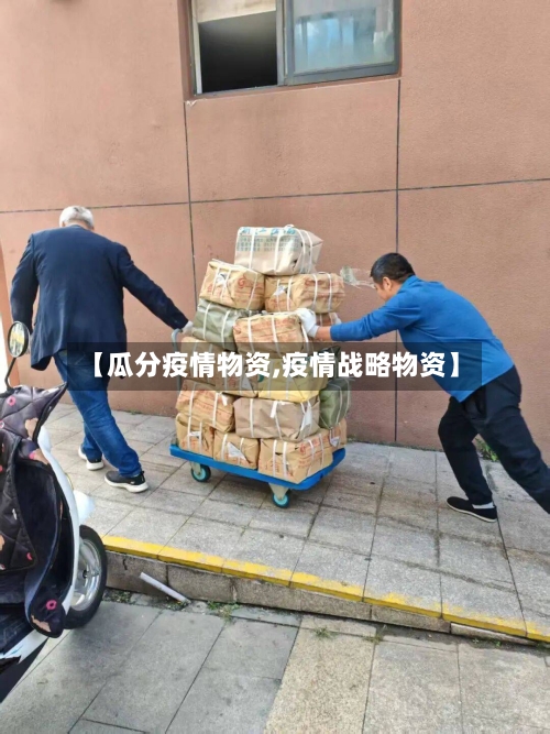 【瓜分疫情物资,疫情战略物资】-第1张图片