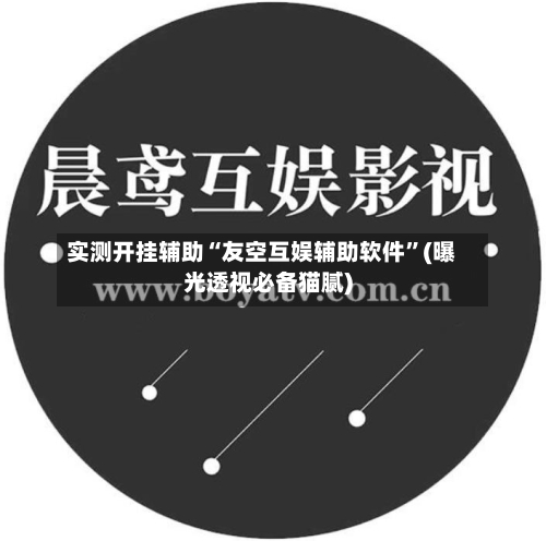 实测开挂辅助“友空互娱辅助软件”(曝光透视必备猫腻)-第1张图片