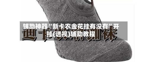 辅助神器“新卡农金花挂有没有”开挂(透视)辅助教程-第1张图片