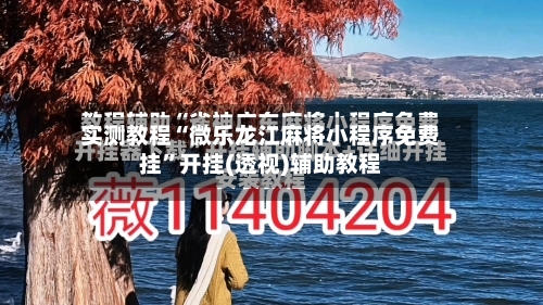实测教程“微乐龙江麻将小程序免费挂”开挂(透视)辅助教程-第3张图片