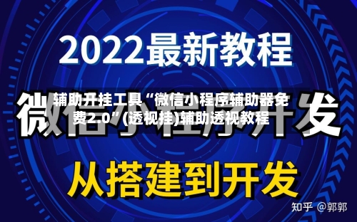 辅助开挂工具“微信小程序辅助器免费2.0”(透视挂)辅助透视教程-第1张图片