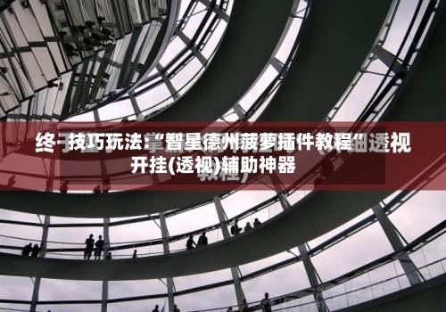 技巧玩法:“智星德州菠萝插件教程”开挂(透视)辅助神器-第1张图片