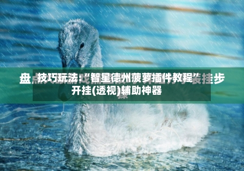技巧玩法:“智星德州菠萝插件教程”开挂(透视)辅助神器-第2张图片